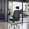 Executive Ergonomic Mesh Office Chair–Adjustable Headrest thumb 0