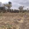 Commercial land for rent thumb 2