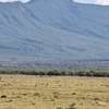 1 ac Land in Naivasha thumb 0