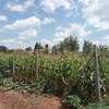 Residential Land at Isiolo Road thumb 3