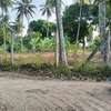 15 ac Land at Bomani thumb 12