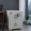 Office Safe: Diplomatic Two Drawer Filing Cabinet Safe thumb 0
