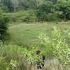 BEAUTIFUL 3 ACRES LAND FOR SALE IN TIMAU thumb 6