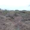 One Acre Of Land For Sale in Tinga / Oletepesi thumb 4