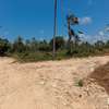 Prime Tropical Land Plot Cleared for Building thumb 1