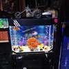 Curved aquariums for sale thumb 0