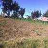 ¼ acre plot Kinungi, Naivasha thumb 1