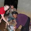 Volunteering and Safaris in Kenya with Go Volunteer Africa thumb 3