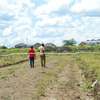 50*100Ft Plots in Kamulu Town thumb 9