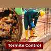 Professional Bed Bugs Control / Cockroach Control / Mosquito Control / Termite Control / Commercial Pest Control .Call now thumb 3