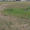 10 ac Commercial Property with Garden in Athi River thumb 17