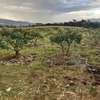 5 Acres  for Sale in Subukia thumb 4