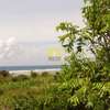97,125 m² Commercial Land in Diani thumb 1