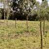 Prime Land in Kahara/Matasia thumb 1