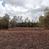 1/4 acre for sale in kamulu thumb 2