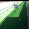 Artificial carpet grass thumb 1