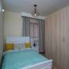 Stunningly Luxurious 1bedroom Fully Furnished In Kileleshwa thumb 5