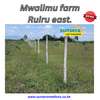 Residential Land at Mwalimu Farm Located In Ruiru East. thumb 11