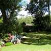 FOR SALE – PRESTIGIOUS PROPERTY LAVINGTON, NBI (0.8 ACRES) thumb 9