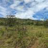 Land in Narok thumb 13