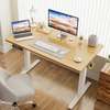 Office Desk : Height Adjustable Electrical Hackers Desk thumb 3