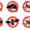 BED BUG Fumigation & Pest Control Services in Garden estate thumb 2