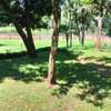 1 acre piece of land with 6 bedroom house. thumb 3