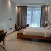 Furnished 3 Bed Apartment with En Suite in Spring Valley thumb 5