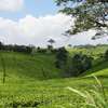 20 ac Land at Riara Ridge thumb 0