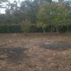 One acre land for sale thumb 0