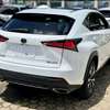 2019 LEXUS NX300 thumb 13