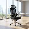 Office Chairs : Ergonomic Executive Office Chair thumb 0