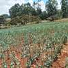 1 3/4 acres land Limuru   waiyaki way @ 100M thumb 3