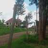 Prime 70 by 100 ft plot in Gikambura,Kikuyu thumb 1