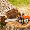 Quality Tree Removal Service | Tree Cutting Services| Tree Removal| Land Clearing| Stump Removal| Emergency work| Firewood Supplies | Tree Trimming and Pruning. Get A Free Quote Now. thumb 12