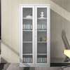 Office Steel Cabinet with Glass Door Panels thumb 5