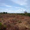 17 Acres in Malindi Gede Is Available For Sale thumb 3
