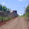 PRIME 1/4 ACRE PLOT FOR SALE- SALAMA GARDENS, GITERO-NYERI! thumb 0