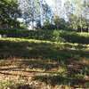 405 m² residential land for sale in Ngong thumb 5
