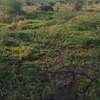 270 Acres Block in Kajiado Is Available For Quick Sale thumb 2