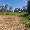 0.5 ac Land in Ridgeways thumb 2