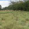 0.092 ha Land at Nyeri-Nanyuki Road thumb 7