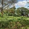 Land at Roysambu thumb 3