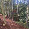 1.5 ac Land in Spring Valley thumb 1