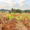 0.05 ha Residential Land in Kamangu thumb 2