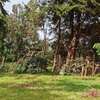 Commercial Property in Limuru thumb 6