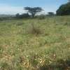 Lovely 4 Acre Land in Kiserian thumb 10
