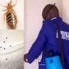 24 Hour Emergency Fumigation & Pest control - Bed Bugs & Cockroaches control | Best Office & Domestic Cleaning Nairobi.100% Service Guarantee.Get A Free Quote Now thumb 4