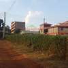 500 m² Commercial Land in Kikuyu Town thumb 0