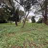 5 ac Land in Kitisuru thumb 3